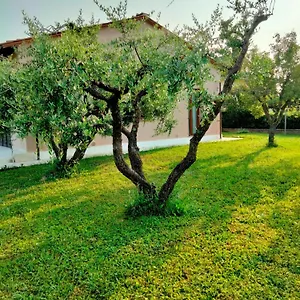 https://il-melograno-lucca.it-tuscanyhotel.com